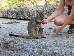 CairnsTC125 Granite Gorge